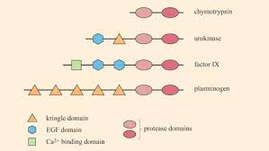 Proteins 1 4 3 Protein Domains Openlearn Open University S377 2