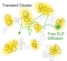 Image result for Yellow 1990 Thiele Inc