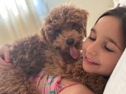 Clifford Pusing 😊❤ #instagram @clifford_pusing19 MR.TISOY✨❤️ ＣＬＩＦＦＯＲＤ  ＰＵＳＩＮＧ /knσwn αѕ zαch ín #Sakristan We're not just a fandom, we're FANmily✨  #SakristanTheSeries #CliffordLoversOFC #ZaChristianaticsPH #TeamTISOY🥰  #TheSheep ...