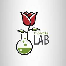 Ganz egal, ob sie geschäftlich oder privat unterwegs sind, dank ihres aufenthalts im springhill suites port st. Flowers Lab Home Facebook