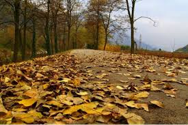 Maybe you would like to learn more about one of these? Pergi Tanpa Rasa Benci Satu Harapan