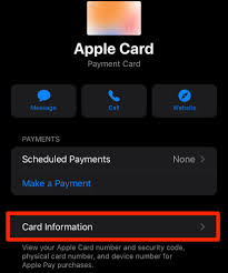 Visa 4716059552951306 121 10/2021 10/2021. Apple Card Titanium Card Has Different Number Than Digital Version