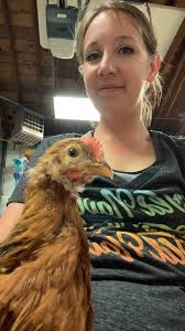 Does using flame lights around chicken coops deter predators?