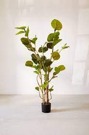Potted Sea Grape Faux Plant Faux Plants Plants Growing Grapes