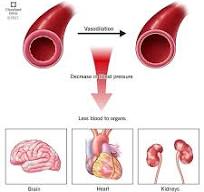 Distributive Shock: Causes, Symptoms and Treatment