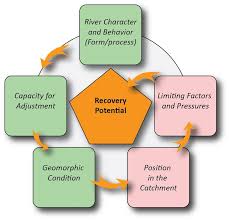 flow chart showing factors influencing recovery potential of