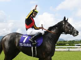Takarazuka kinen the takarazuka kinen (宝塚記念) is a grade i flat horse race. Rcedjtrojvjo9m