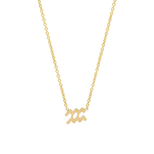 Aquarius Necklace In 2021 Aquarius Necklace Aquarius Jewelry Gemini Necklaces