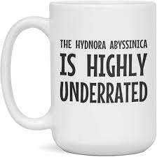 Image result for Hydnora abyssinica