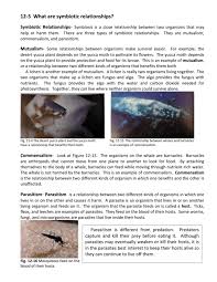 Check spelling or type a new query. 12 5 What Are Symbiotic Relationships