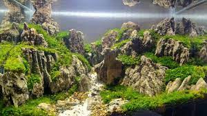 Batu pasir sand stone untuk aquarium aquascape 500gr. 39 Aquascape Batu Pasir Youtube