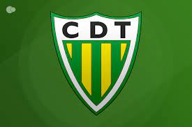 Head to head statistics and prediction, goals, past matches, actual form for liga zon sagres. Tondela Zerozero Pt