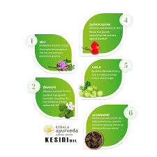 Facial masks in ayurveda, the best treatment for beauty care. Buy Best Ayurvedic Hair Oil Online Kesini Oil Kerala Ayurveda Limited