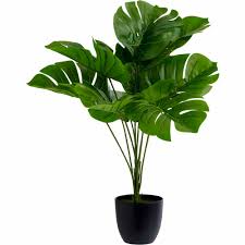 Check spelling or type a new query. Artificial Flowers Artificial Plants Wilko Com