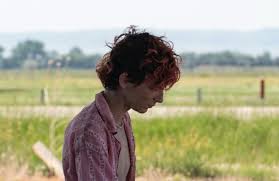 Timothée chalamet is an american actor who's made a splash with films like 'lady bird' and 'call me by your name.' timothée chalamet (born december 27, 1995) received an academy award. Take Your First Look At Timothee Chalamet In Bones All