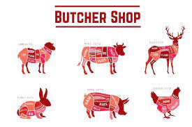 Pin On Farm Animals