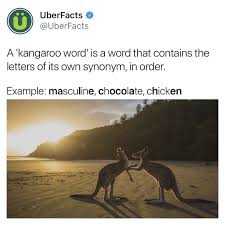 The Phrase Comes From The Fact That Kangaroos Carry Their Young In A Body Pouch Likewise