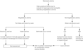 Iron Deficiency And Other Types Of Anemia In Infants And Children American Family Physician