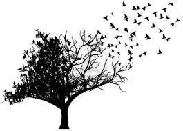 Colour Bird On Tree Drawing Art Tree Birds Tree With Birds Tattoo Bird Tree Birds Tattoo