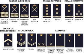 Maybe you would like to learn more about one of these? Ufp Sur Twitter Conoces Todas Las Divisas De La Policia Nacional El Modelo Actual Se Publico En El Boe Num 69 De 21 De Marzo De 2014 Aporta Un Aire