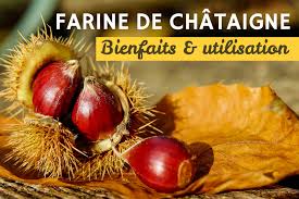 Farine De Chataigne Bienfaits Et Utilisation Fizzup