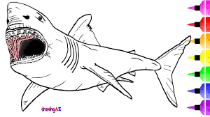 Make your world more colorful with printable coloring pages from crayola. White Shark Drawing And Coloring Page How To Draw A Dinosaur For Coloring Youtube