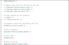 A Code Example Of A Template Defined For The Software Tool Download Scientific Diagram