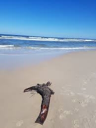 Looking for a beach hotels in poland from $65? Poland Beaches Top 10 Beaches In Poland Poland Beach Beach Top 10 Beaches