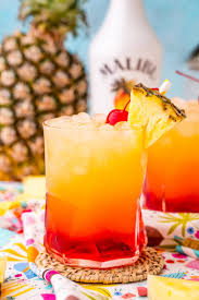 Watch the whales and dolphins while you sip on a tropical drink. Malibu Sunset Drink Recipe Sugar And Soul