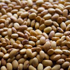 Image result for Phaseolus vulgaris