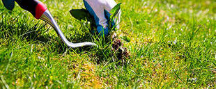 There are innumerable packages that you can choose from which covers a particular section of services. Average Lawn Care Prices How Much Does Lawn Care Cost 2019 Hirerush Com
