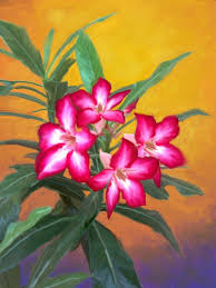 Maybe you would like to learn more about one of these? 30 Gambar Bunga Dari Lukisan Terpopuler Lingkar Png