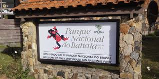 Created in partnership with setweb and cozinhas itatiaia. Pesquisadores Reencontram Dois Anfibios Desaparecidos Em Itatiaia Agencia Brasil