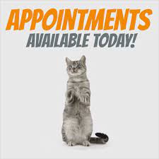 1,278 likes · 18 talking about this · 516 were here. Pet Medical Center Of Edmond Home Facebook