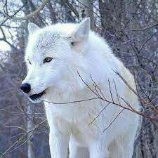 We did not find results for: Berikut Ini Termasuk Golongan Nomina Adalah A Pelaut Lautan Pegangan Dan Perumahanb Mainkan Brainly Co Id