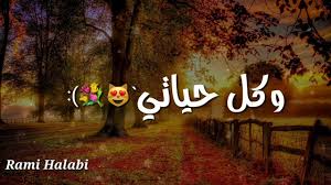 مشاهدة الرسائل اللي تم حذفها من المحادثة. Ø­Ø§Ù„Ø§Øª ÙˆØ§ØªØ³ Ø£Ø¨ Ø¹Ù† Ø§Ù„Ø§Ù… Youtube