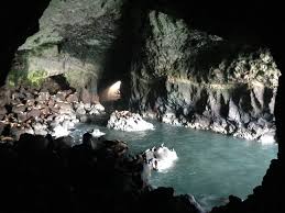 The largest system of sea caves in the united states, sea lion caves offers the chance to view sea lions up close in their natural habitat. Sea Lion Caves Home Facebook