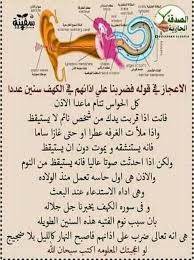 pin by اماني العنزي on من القران الكريم words quotes quotes words