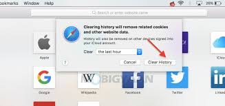Google is the most popular search engine and the preferred choice of most users for surfing the internet. How To Clear Browsing History In Safari On Your Mac Guide