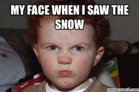 I saw a snowflake Memes