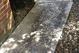 Removing Black Mold From Concrete Patio Basement Floor Or Wall Concrete Patio Concrete Floors Patio Flooring