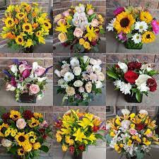 Check spelling or type a new query. Pbnwgsh88gapdm