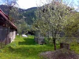 Check spelling or type a new query. Casa De Vanzare Langa Brad Comuna Bucuresci Judetul Hunedoara Youtube