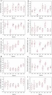 Image result for Emilia subscaposa