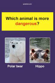Can You Tell Us Which Animal Is More Dangerous Weird History Facts Kids Quiz History Videos