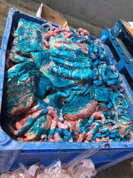 12,591 likes · 178 talking about this · 44 were here. Animal Food And Alcoholic Beverages Are The Most Seized Products In Operation Opson Ix Targeting Food Fraud Europol