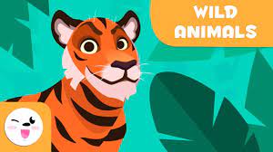 Wild Animals For Kids Vocabulary For Kids Youtube