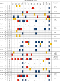 Check spelling or type a new query. Pdx Models Of Human Lung Squamous Cell Carcinoma Consideration Of Factors In Preclinical And Co Clinical Applications Journal Of Translational Medicine Full Text