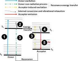We did not find results for: Functionalized Upconversion Nanoparticles New Strategy Towards Fret Based Luminescence Bio Sensing Sciencedirect