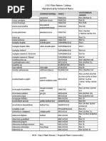 Image result for Barleria pseudosomalia